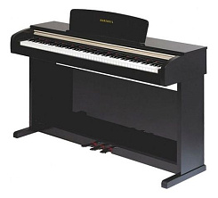 Kurzweil Mark Pro ONEi F(BP)