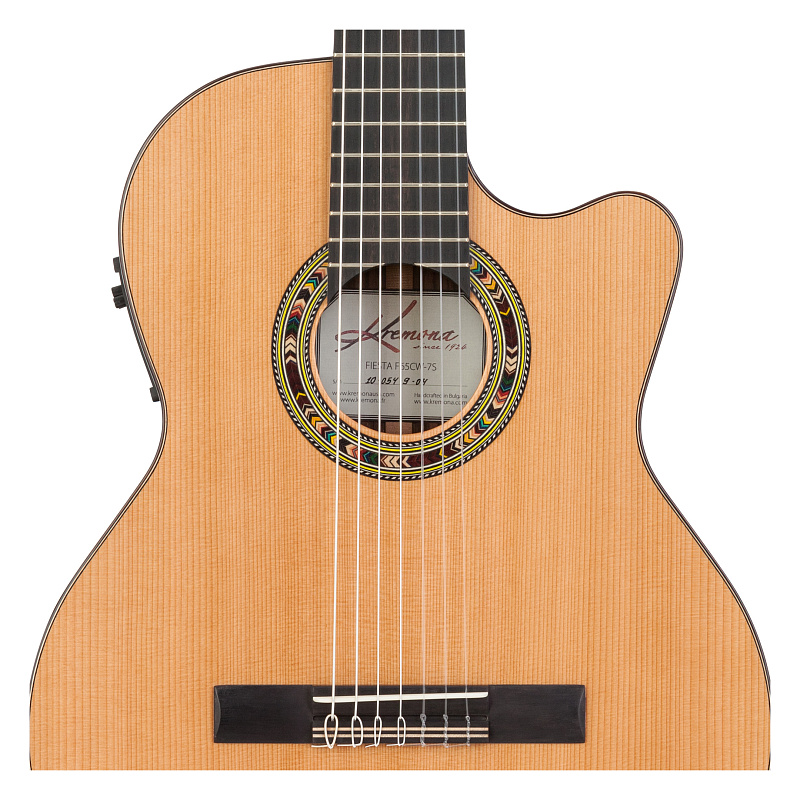 Фото Семиструнная классическая гитара со звукоснимателем Kremona F65CW-7S-T-w/case Performer Series Fiesta