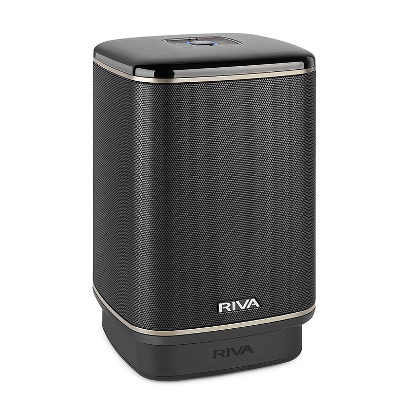Фото Беспроводные решения / мультирум RIVA Audio Arena Battery