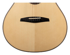Акустическая гитара ALTAMIRA MPro-1