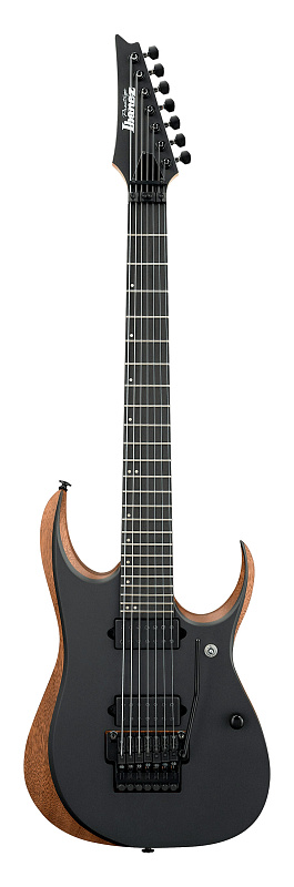 Фото IBANEZ RGDR4327-NTF