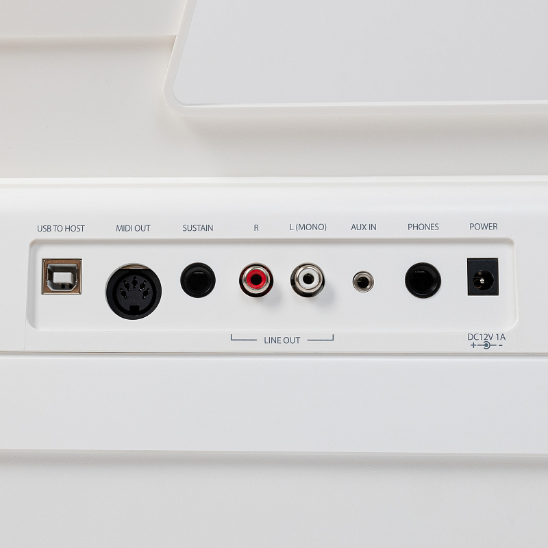 Фото Цифровое пианино ROCKDALE Elegy White