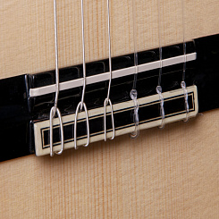 Классическая гитара Alhambra Green Sustain Classical