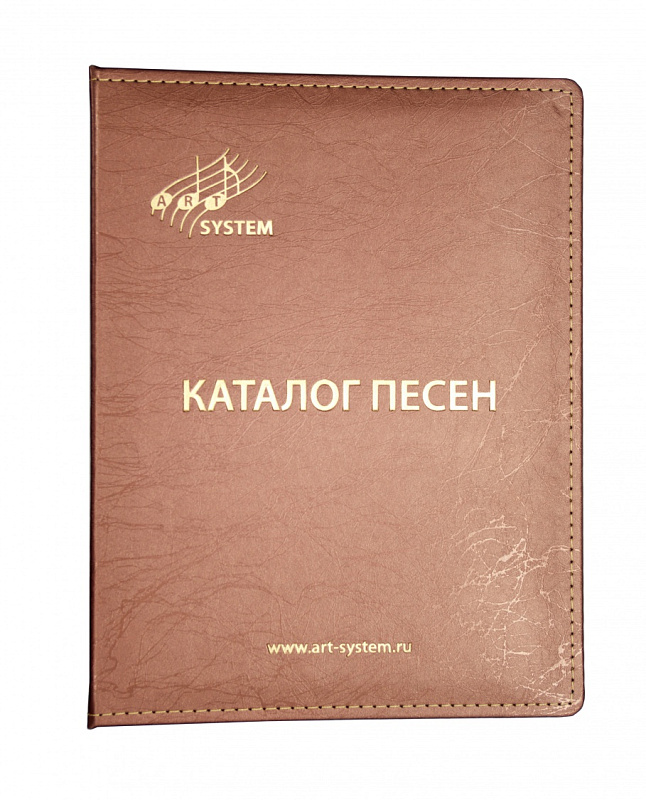 Фото Профессиональная караоке система AST Mini