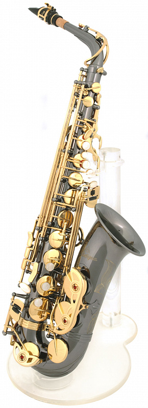 Antigua 3100 BQ альт саксофон в магазине Music-Hummer