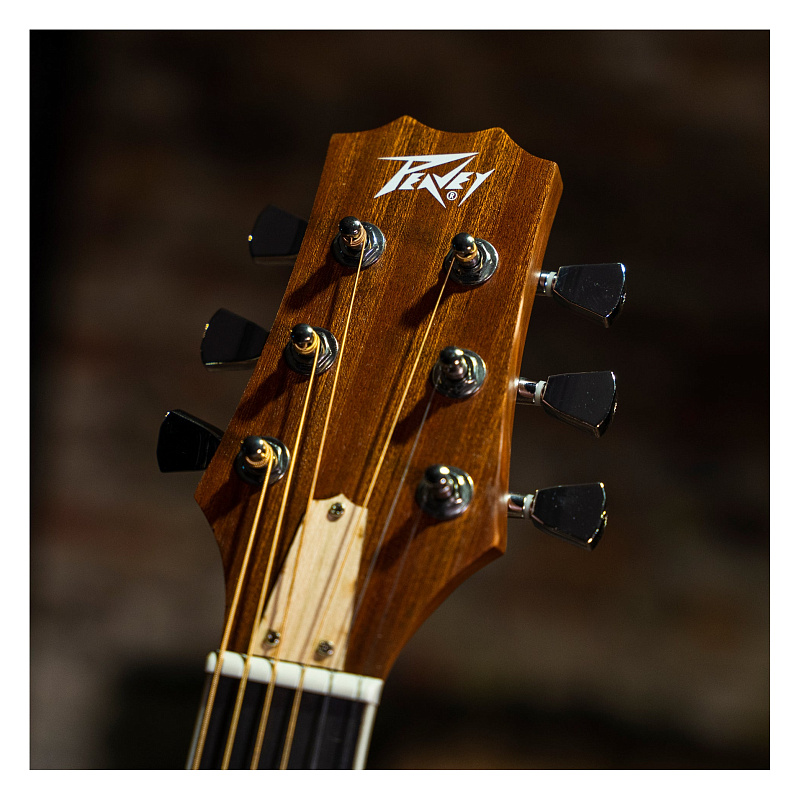 Фото Электроакустическая гитара PEAVEY DW 2 CE