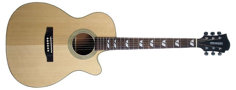 Фото FERNANDES PD16CEQ N