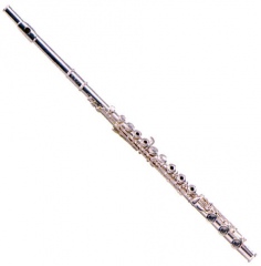 Флейта Maxtone TFC-54S в магазине Music-Hummer