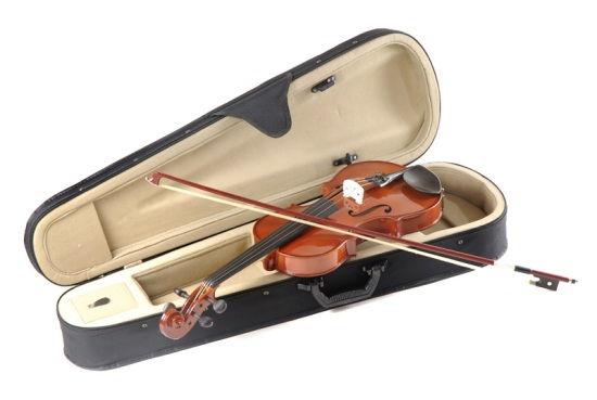 Скрипка Dowina AV34 Amadeus 3/4 в магазине Music-Hummer