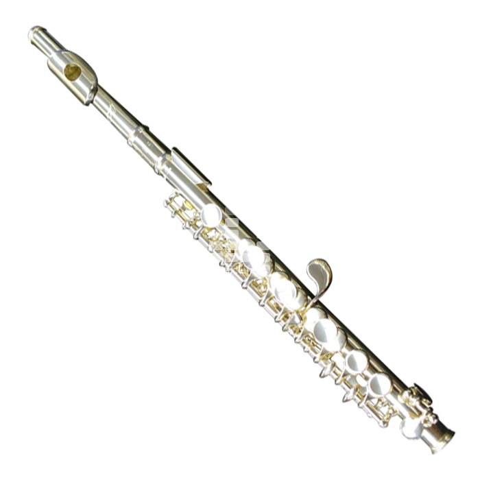 Флейта пикколо ARMSTRONG 250 в магазине Music-Hummer