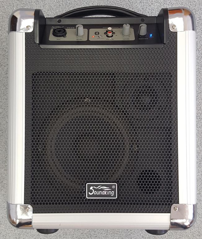 Акустическая система Soundking PA6B в магазине Music-Hummer