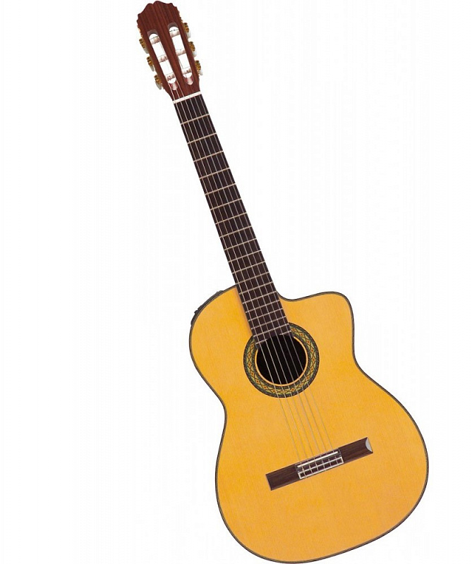 Электроакустическая гитара TAKAMINE CLASSIC SERIES TH5C в магазине Music-Hummer