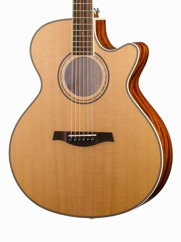 Электро-акустическая гитара, с вырезом, с футляром Parkwood P670 в магазине Music-Hummer