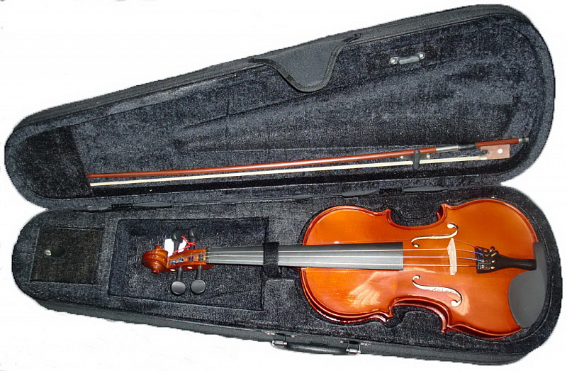 Скрипка Livingstone VV-100 3/4 в магазине Music-Hummer