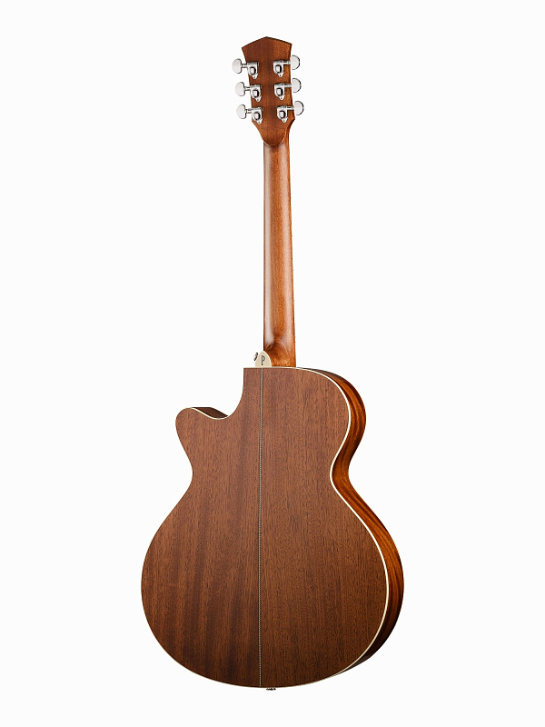 Электро-акустическая гитара, с вырезом, с футляром Parkwood P670 в магазине Music-Hummer