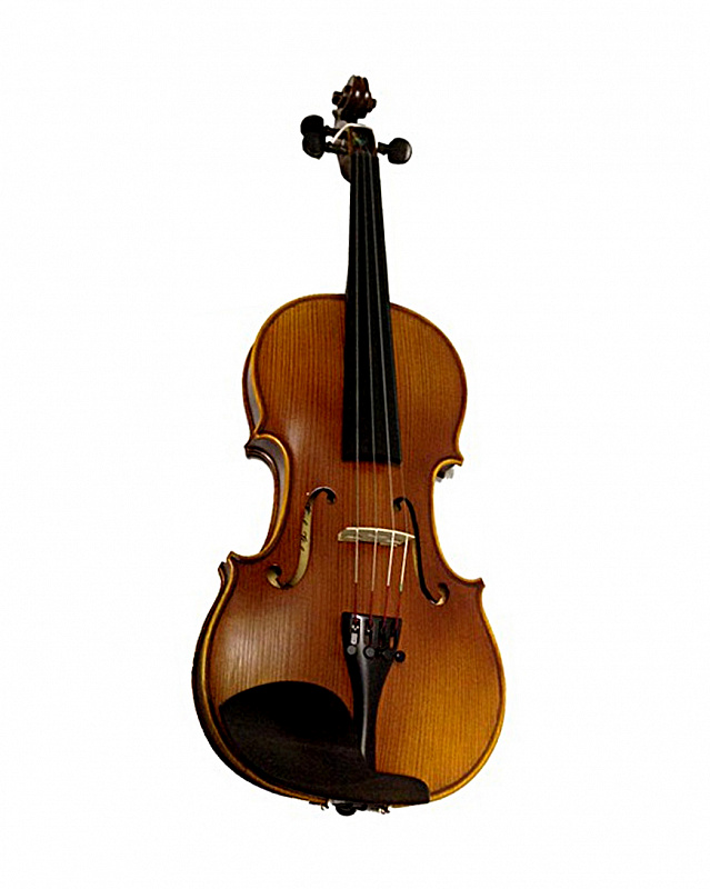 Скрипка Karl Hofner H5D-V 3/4 в магазине Music-Hummer